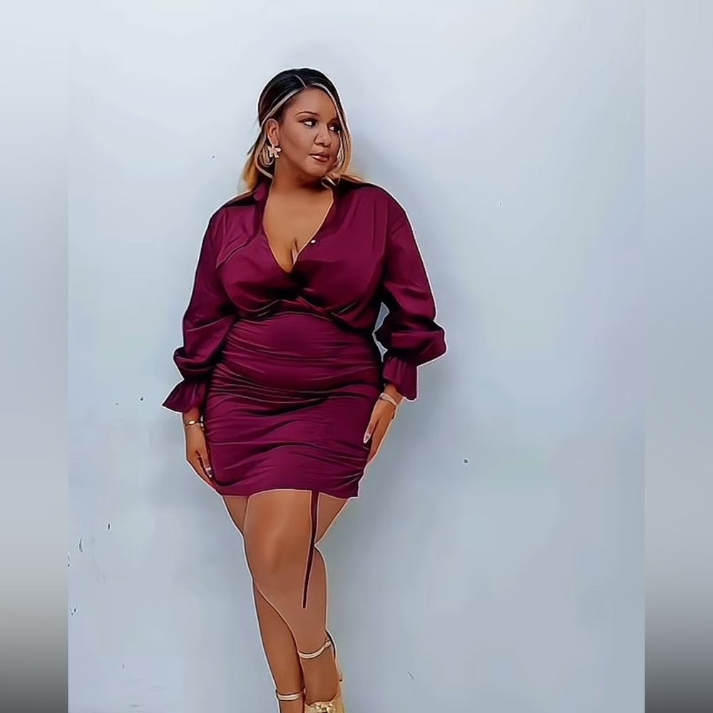 Micas Curve Chic Burgundy Dress